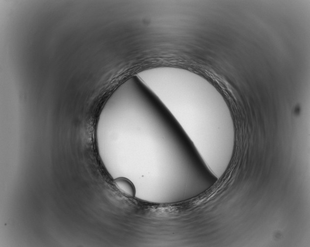 X0000100470517200806130757