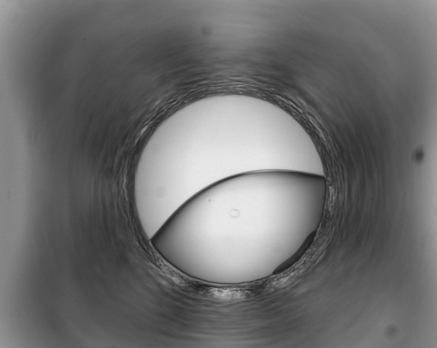 X0000100470520200806130757