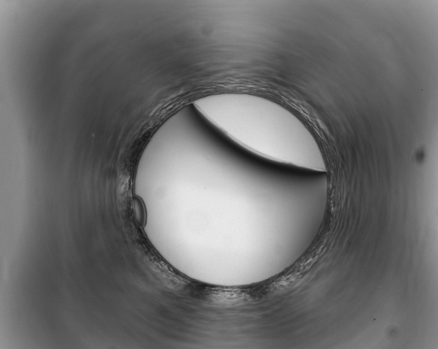 X0000100470521200806130757