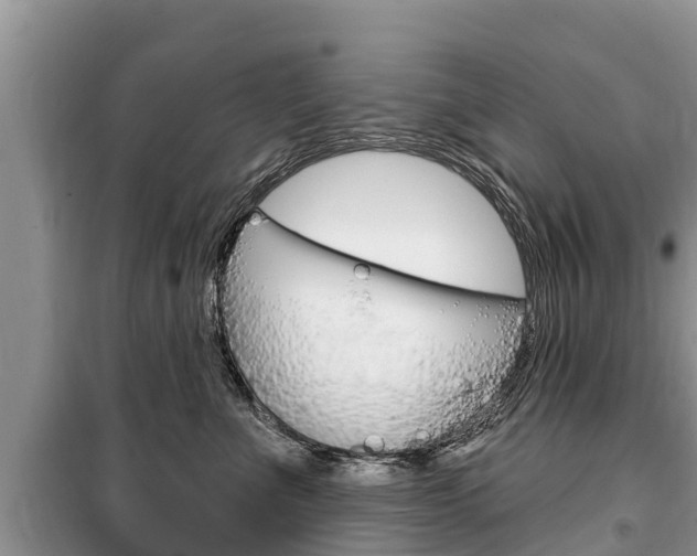 X0000100470523200806130757