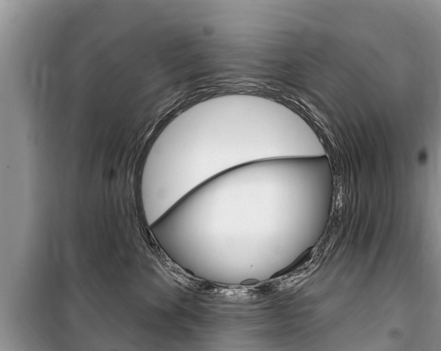 X0000100470524200806130757