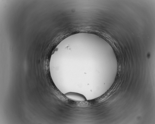 X0000100470525200806130757