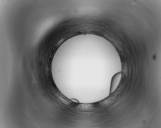 X0000100470526200806130757