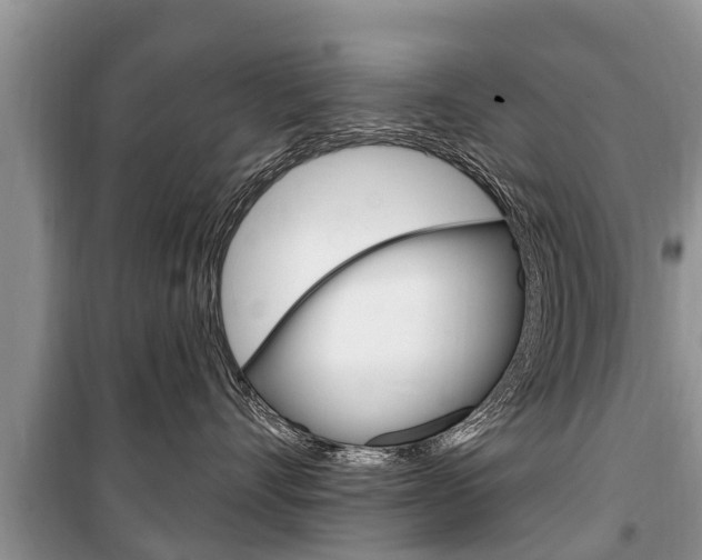 X0000100470528200806130757
