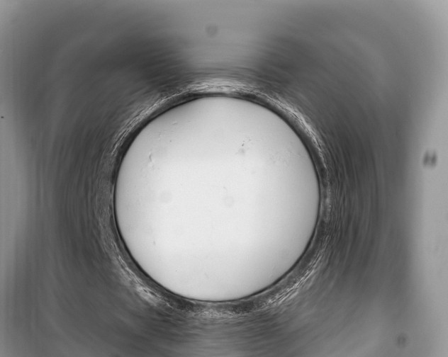 X0000100470529200806130757