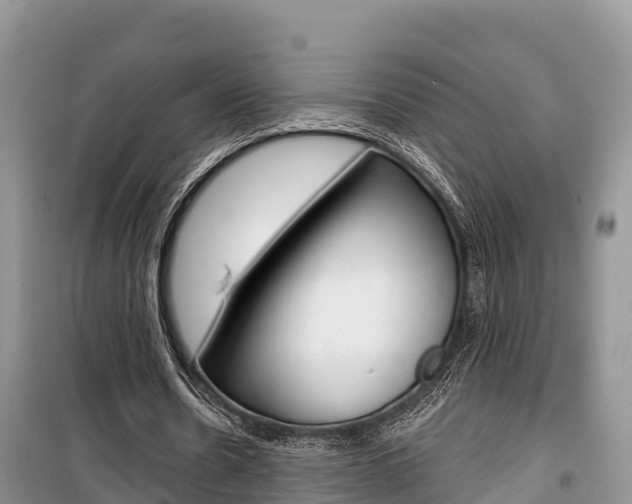X0000100470530200806130757