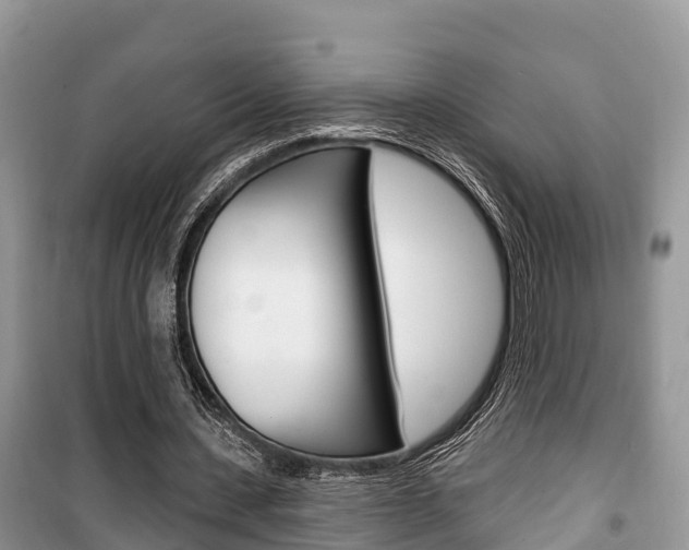 X0000100470531200806130757