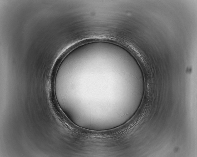 X0000100470532200806130757