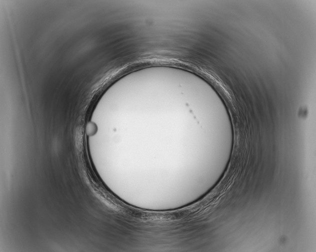 X0000100470533200806130757