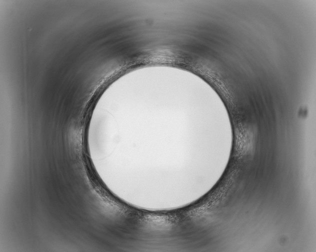 X0000100470534200806130757