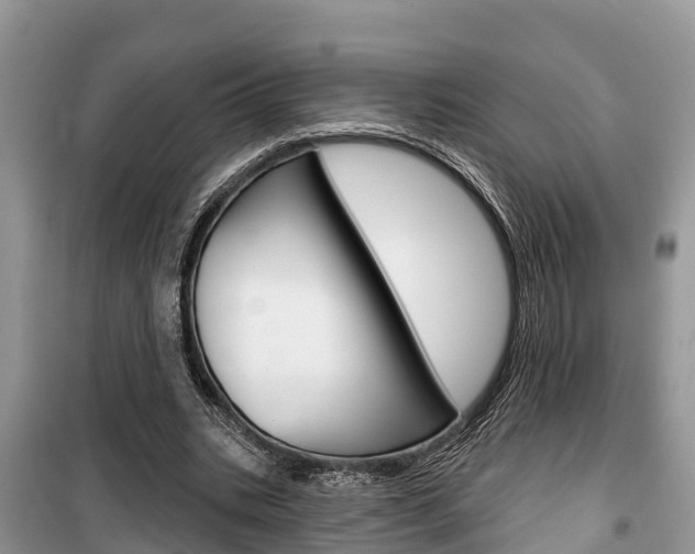 X0000100470535200806130757