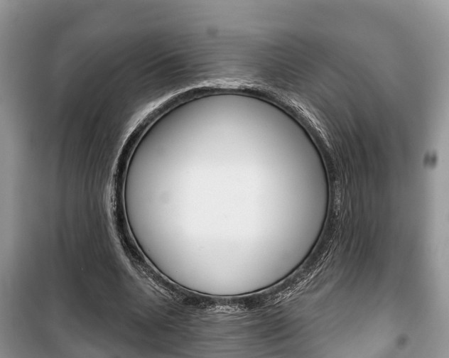 X0000100470536200806130757