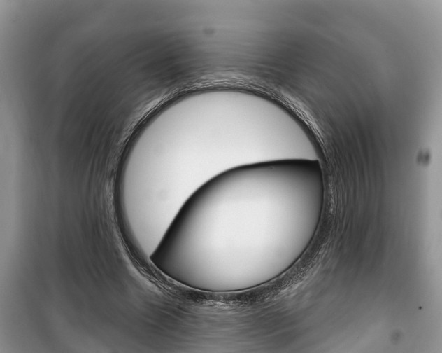 X0000100470538200806130757