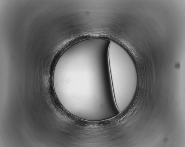 X0000100470540200806130757