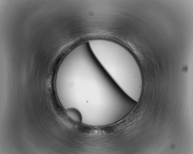 X0000100470543200806130757