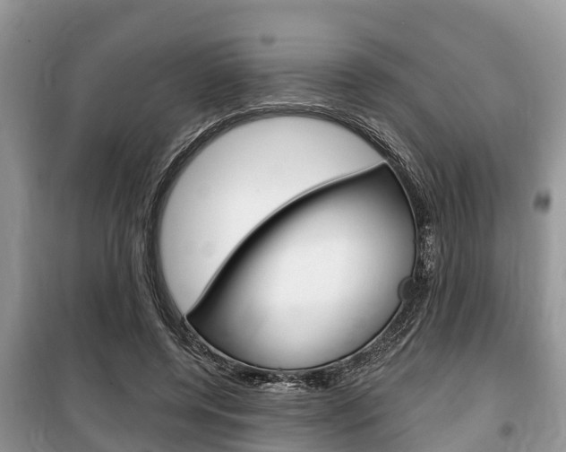 X0000100470544200806130757