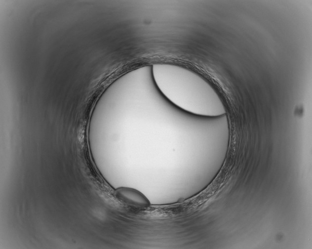 X0000100470545200806130757