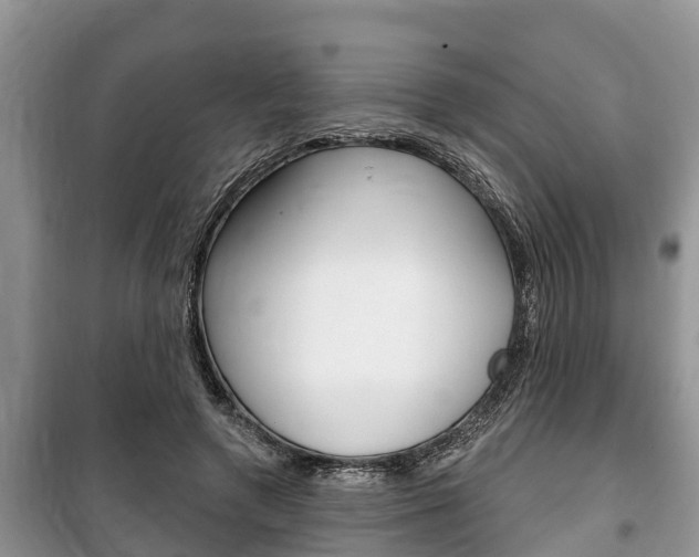 X0000100470546200806130757