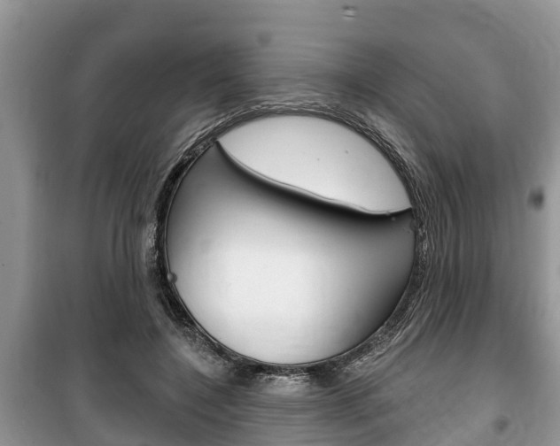 X0000100470548200806130757