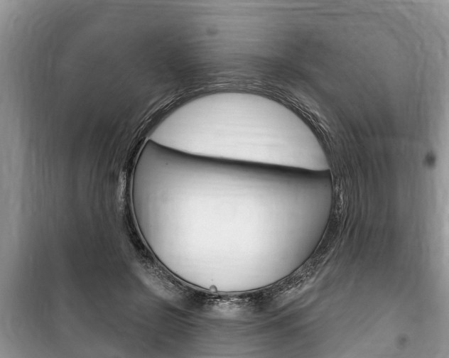 X0000100470550200806130757