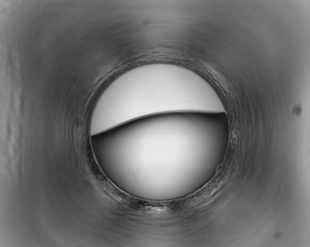 X0000100470552200806130757