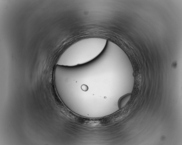 X0000100470554200806130757