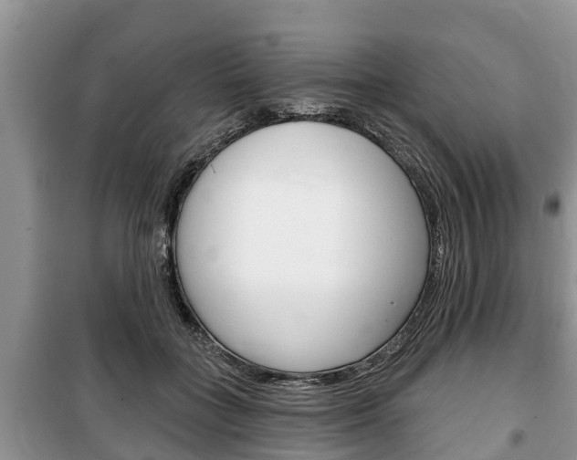 X0000100470555200806130757