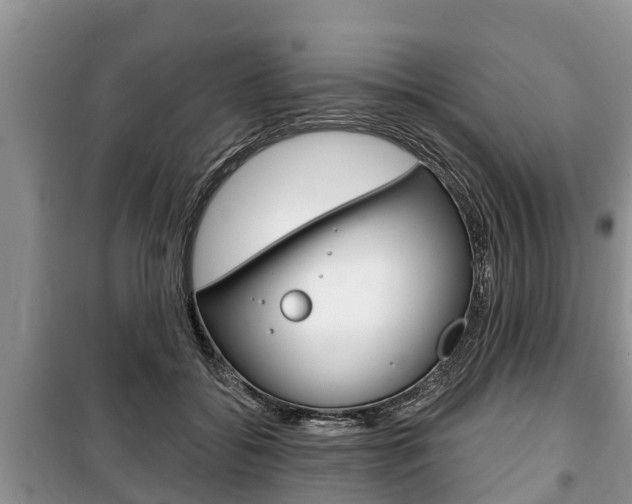 X0000100470556200806130757