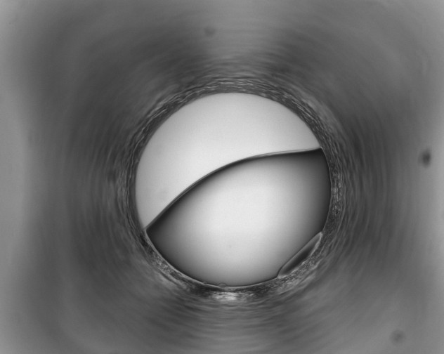 X0000100470558200806130757