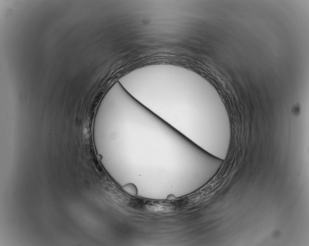 X0000100470561200806130757