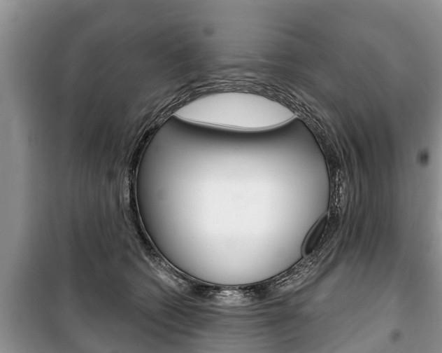 X0000100470562200806130757