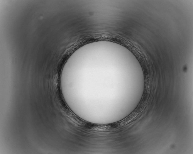 X0000100470563200806130757
