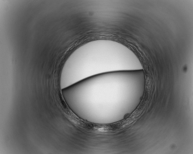 X0000100470564200806130757