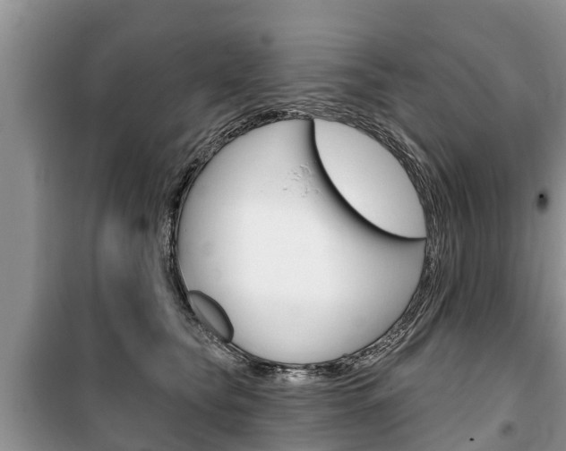 X0000100470565200806130757