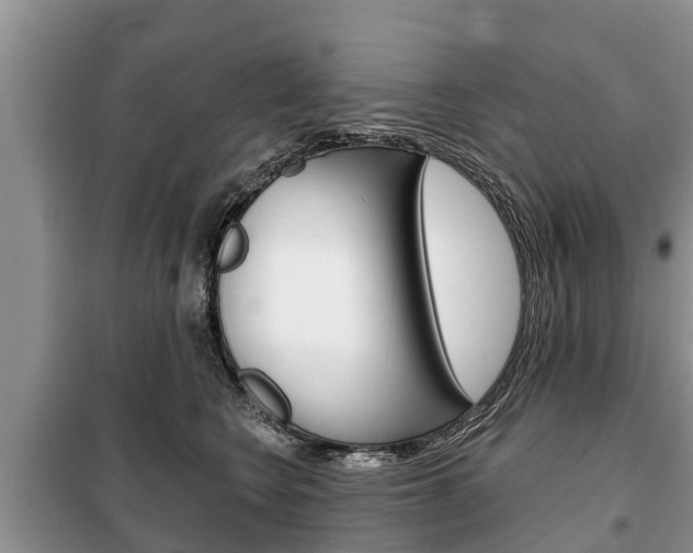 X0000100470566200806130757