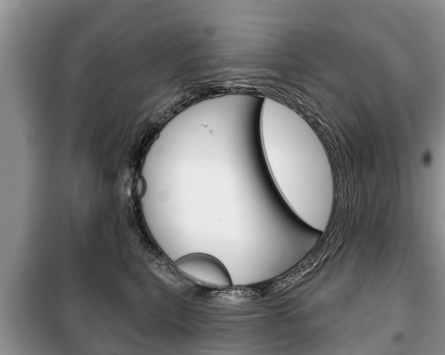 X0000100470567200806130757