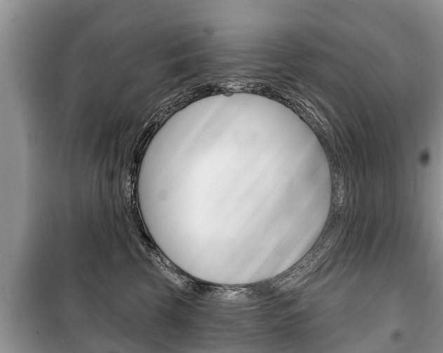 X0000100470569200806130757