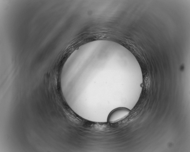 X0000100470570200806130757