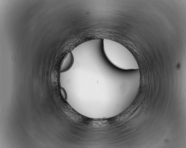 X0000100470571200806130757
