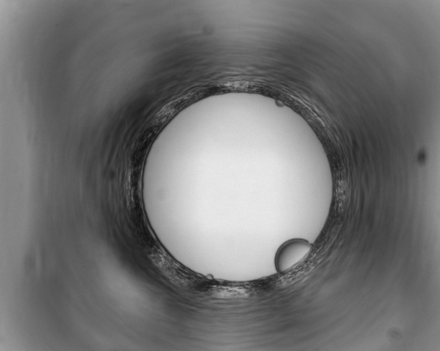 X0000100470572200806130757