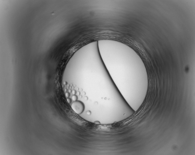 X0000100470573200806130757