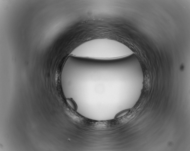 X0000100470574200806130757
