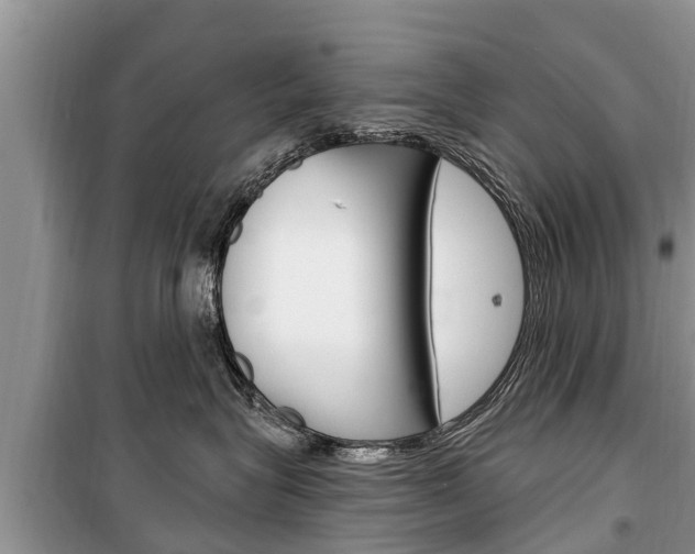 X0000100470575200806130757