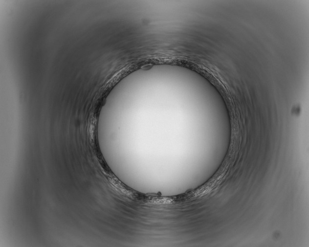 X0000100470576200806130757