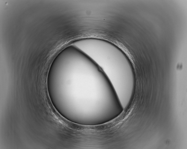 X0000100470577200806130757