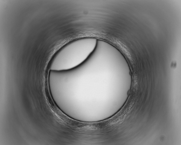 X0000100470578200806130757