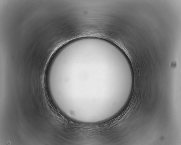 X0000100470579200806130756