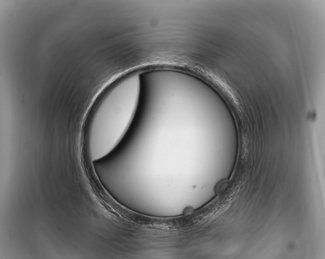 X0000100470580200806130756