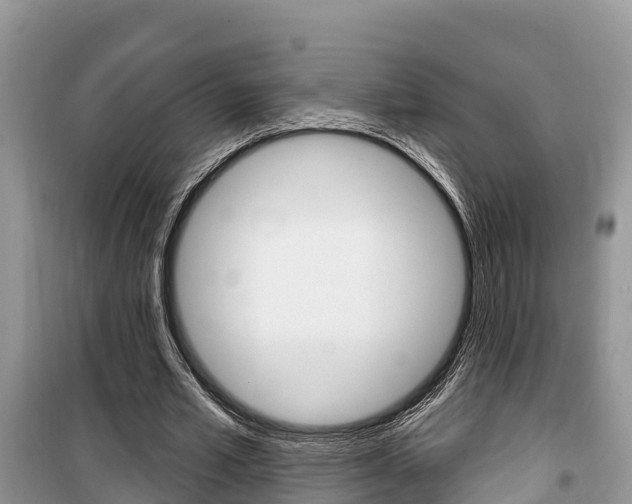 X0000100470581200806130756
