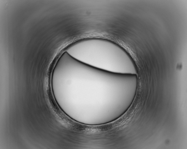 X0000100470582200806130756